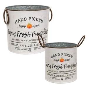 *2/Set Farm Fresh Pumpkins Buckets