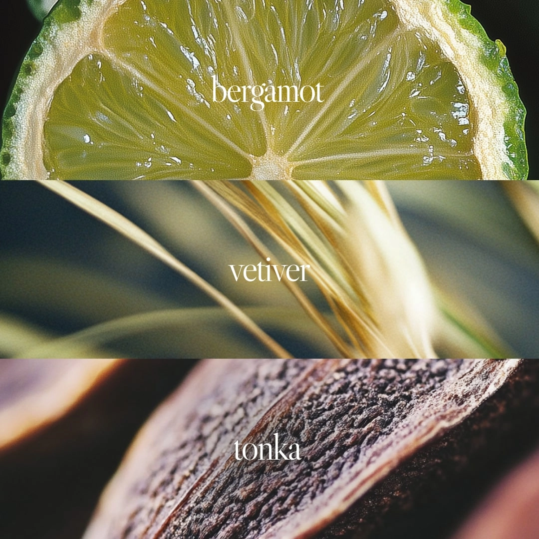 Noteworthy n,866 Eau De Parfum | Urban Night | Bergamot Vetiver Fragrance