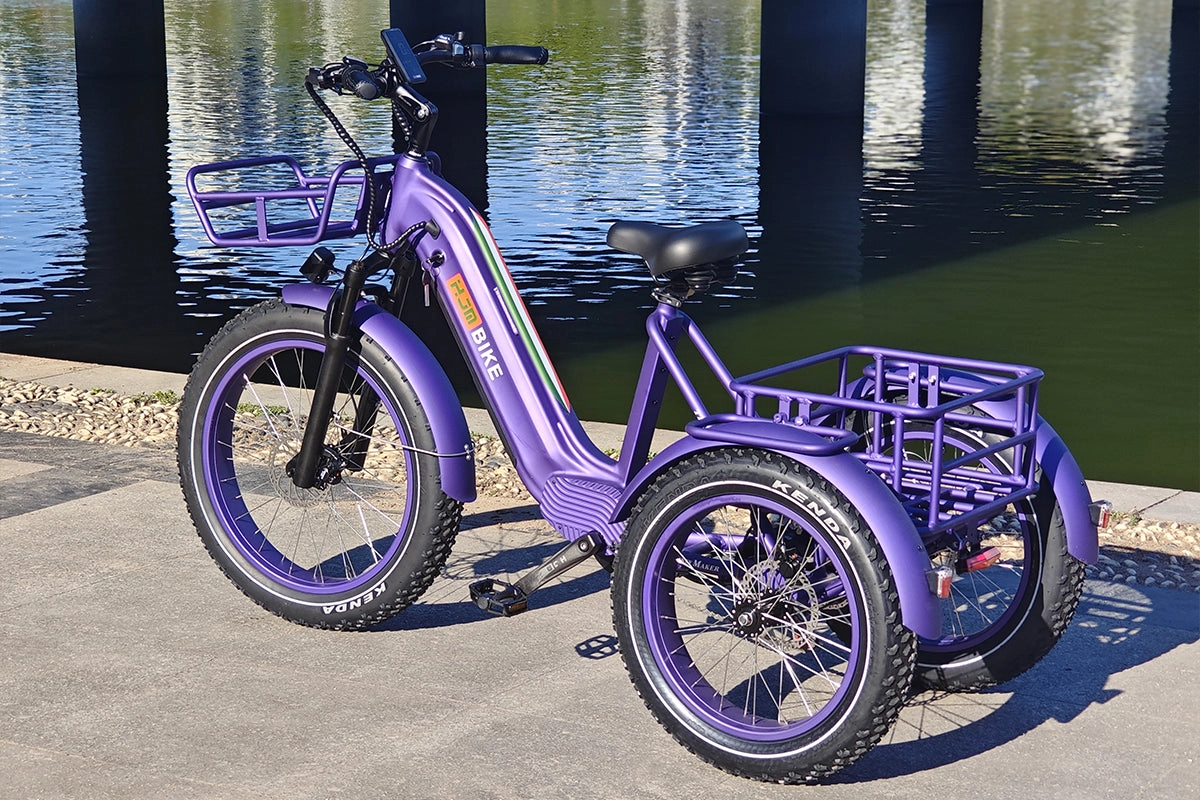TriHauler Cargo Fat Tire Etrike (Fully Assembled)