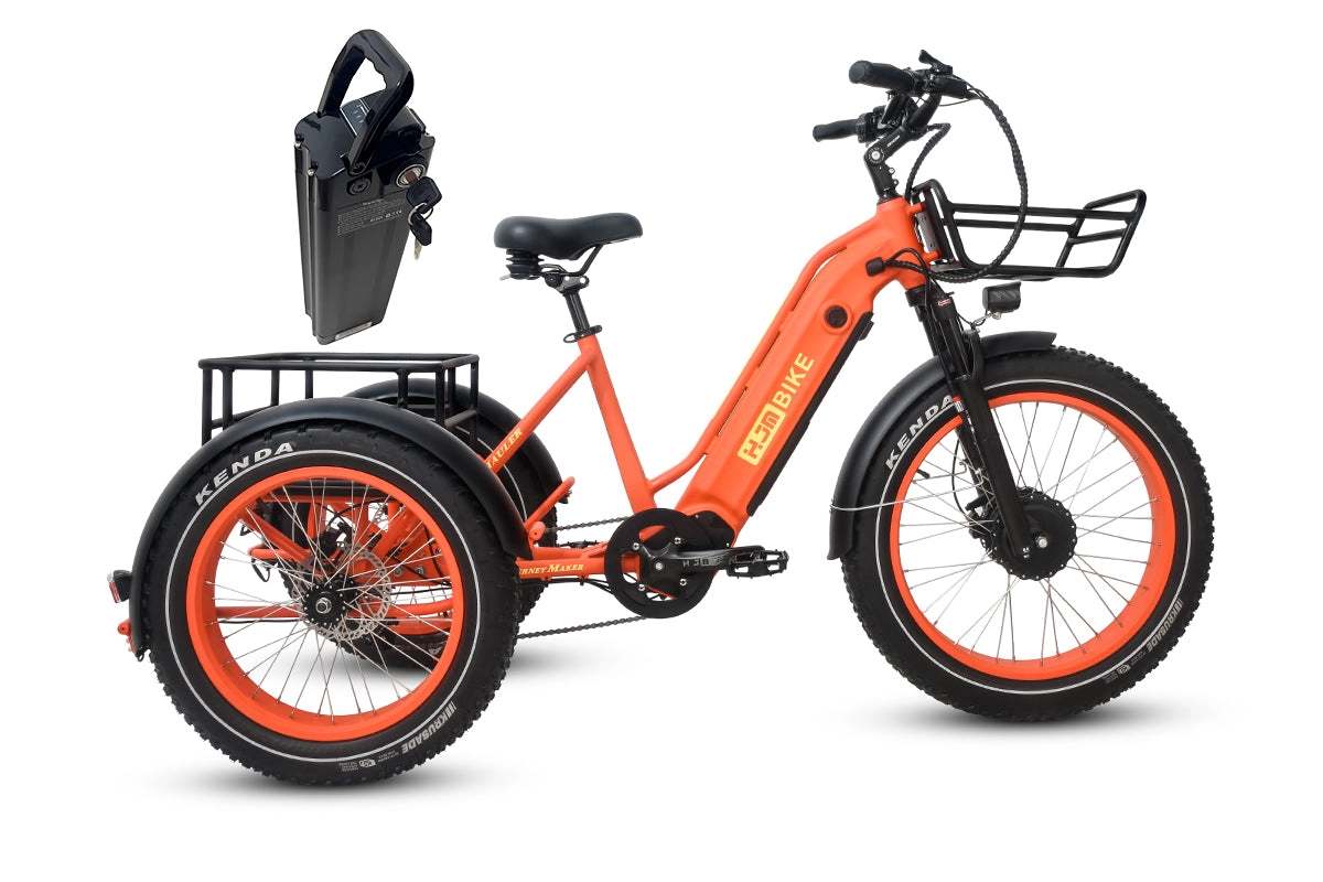 TriHauler Cargo Fat Tire Etrike (Fully Assembled)