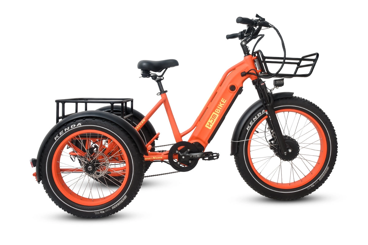 TriHauler Cargo Fat Tire Etrike (Fully Assembled)