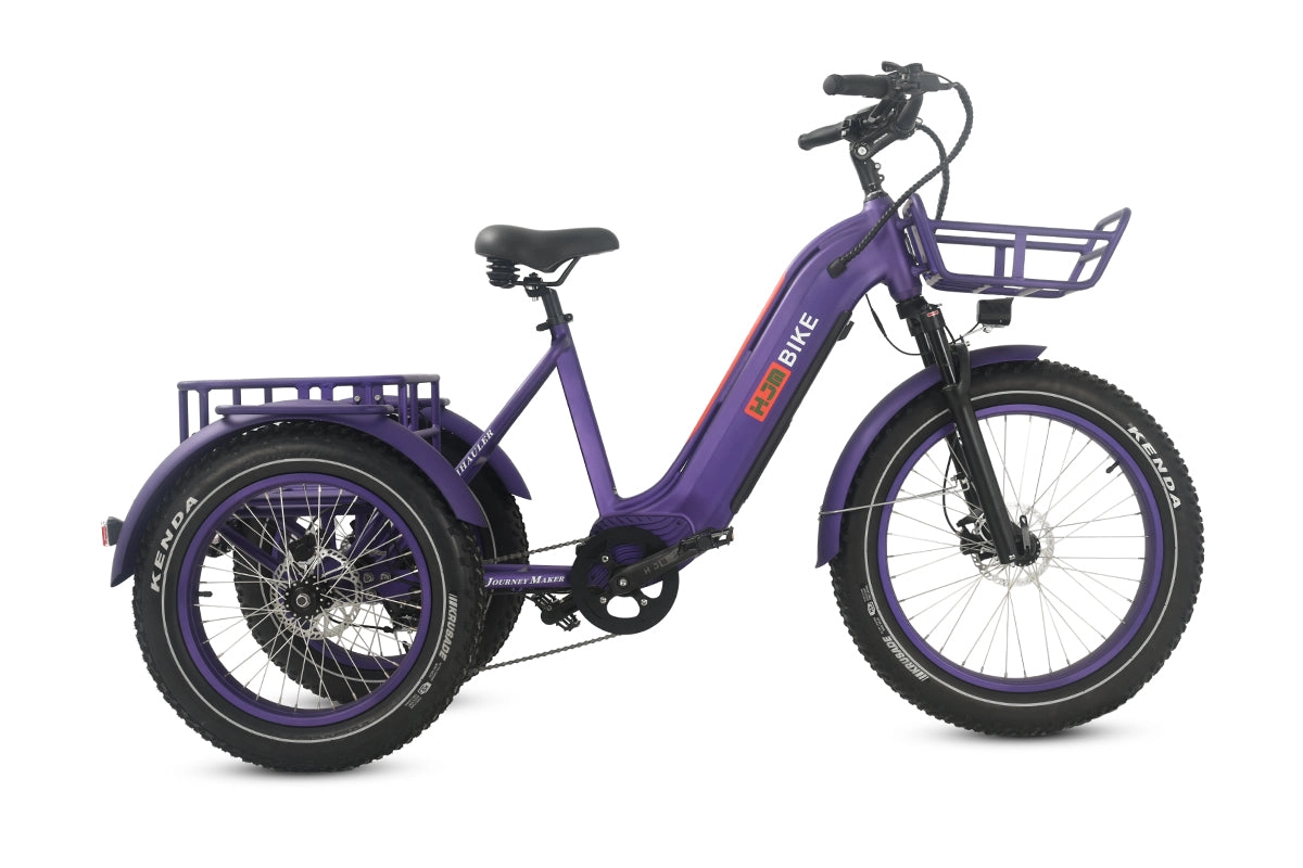 TriHauler Cargo Fat Tire Etrike (Fully Assembled)