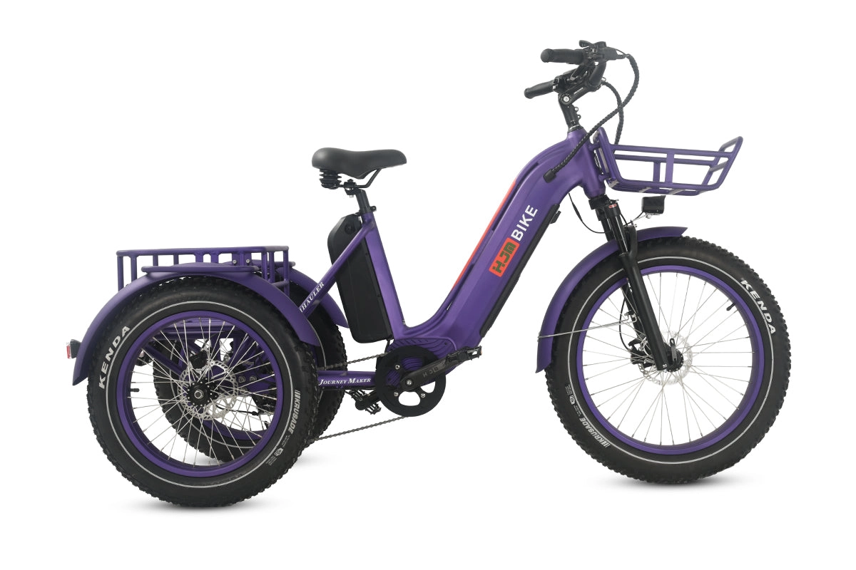 TriHauler Cargo Fat Tire Etrike (Fully Assembled)