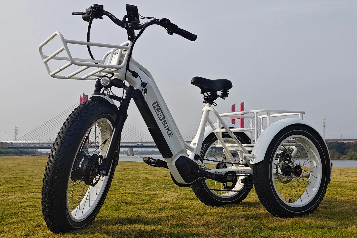 TriHauler Cargo Fat Tire Etrike (Fully Assembled)