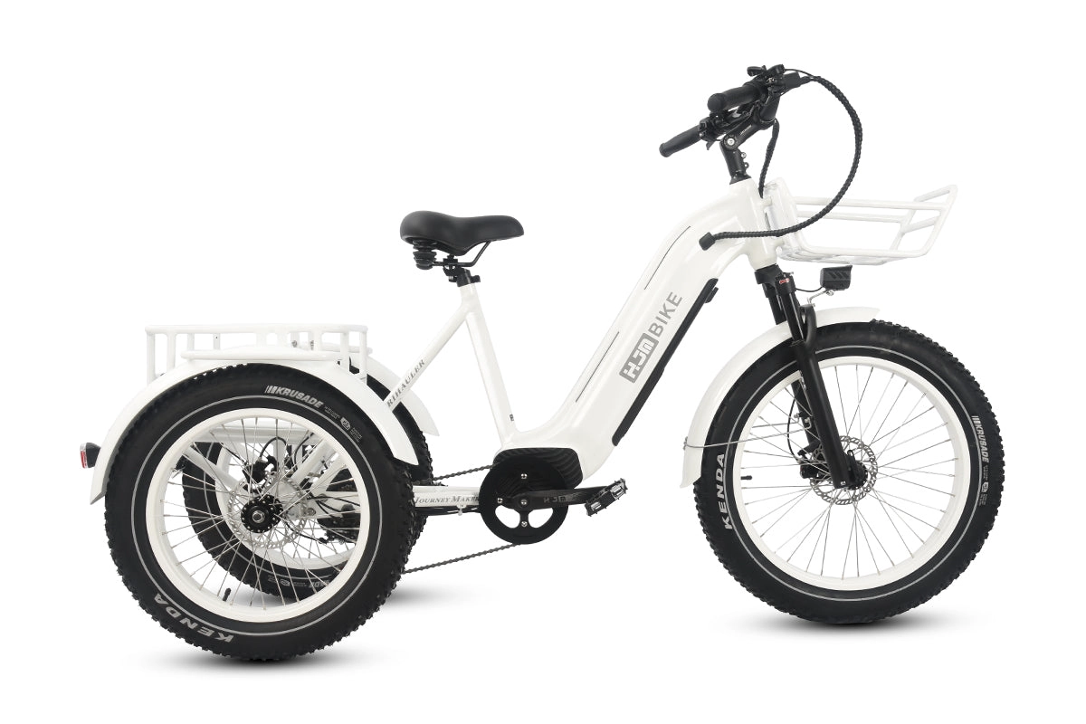 TriHauler Cargo Fat Tire Etrike (Fully Assembled)